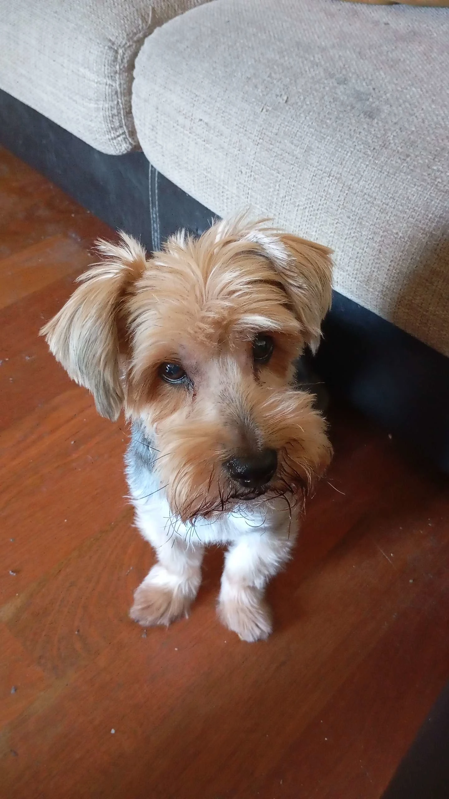 Ben