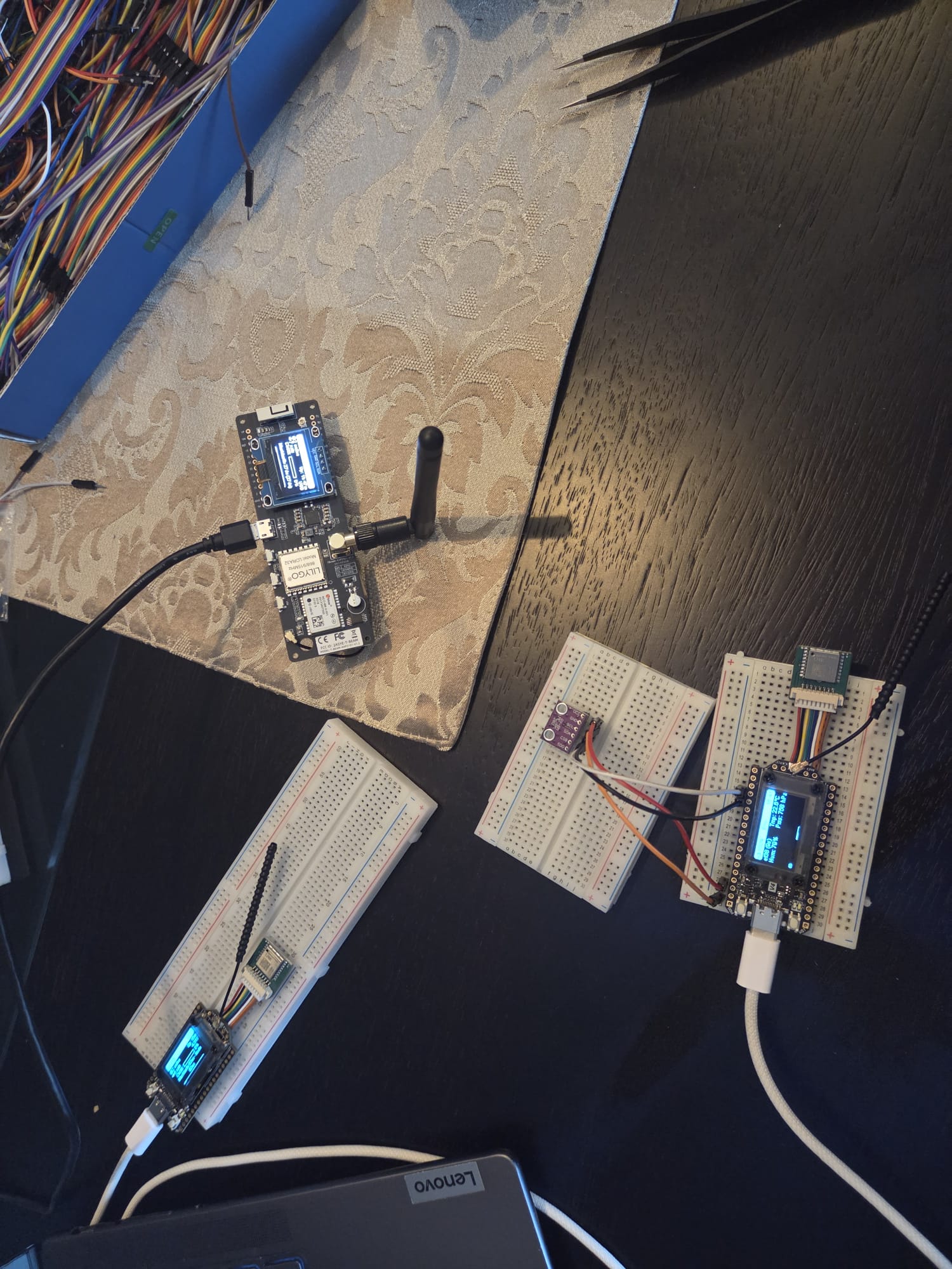 SENSOR DEVELOPMENT